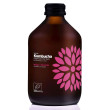 Vigo Kombucha Mango + Marakuja 330 ml