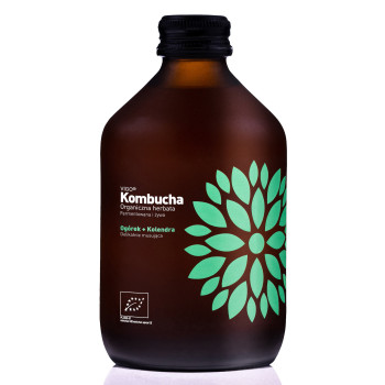 Vigo Kombucha Ogórek + Kolendra 330 ml