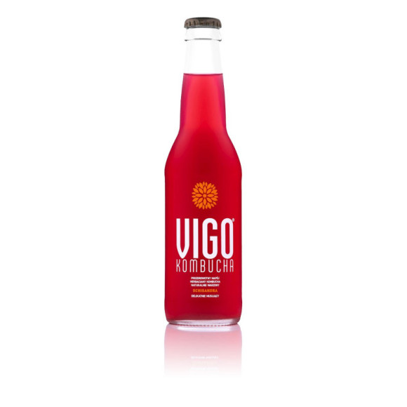 Vigo Kombucha Schisandra 330 ml