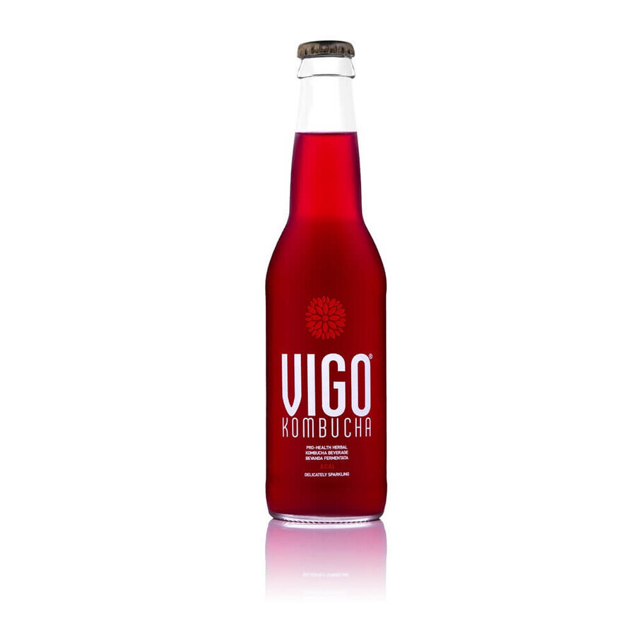 Vigo Kombucha Acai 330 ml